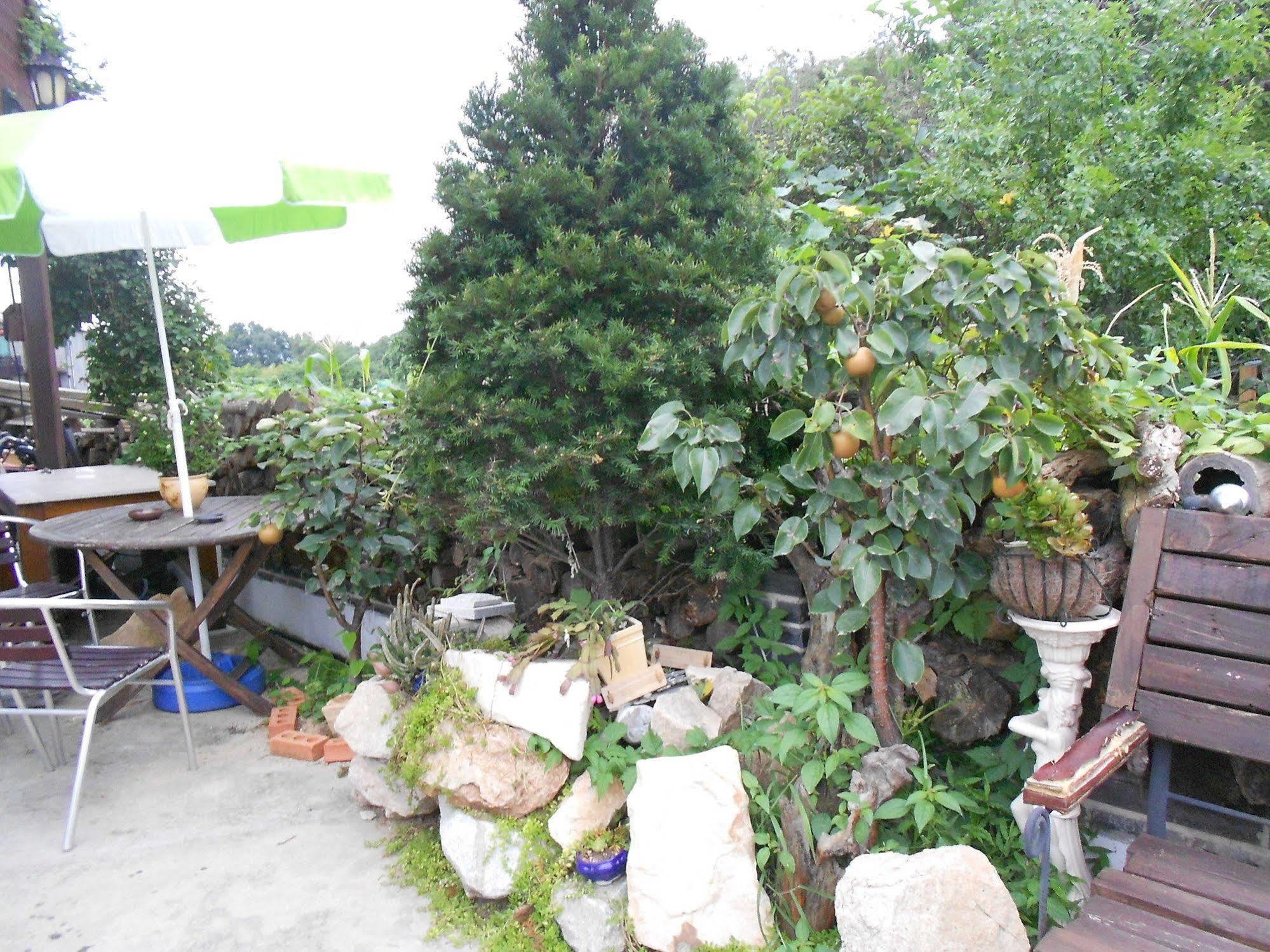 Elvis Bnb Incheon Ngoại thất bức ảnh
